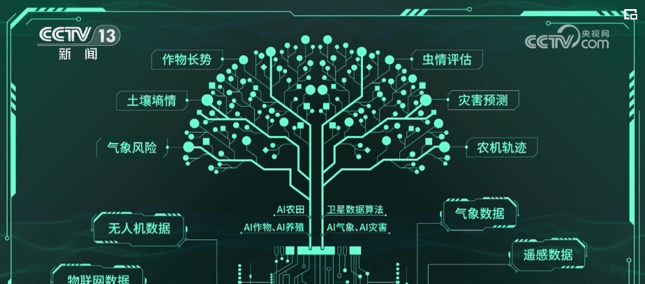 “種地種出成就感”！衛(wèi)星巡田、遠程田管農(nóng)業(yè)生產(chǎn)煥發(fā)新活力(圖3)