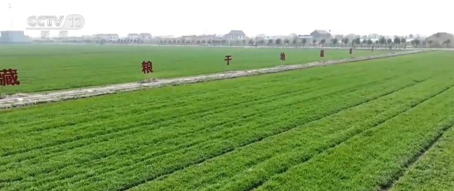 “種地種出成就感”！衛(wèi)星巡田、遠程田管農(nóng)業(yè)生產(chǎn)煥發(fā)新活力(圖14)