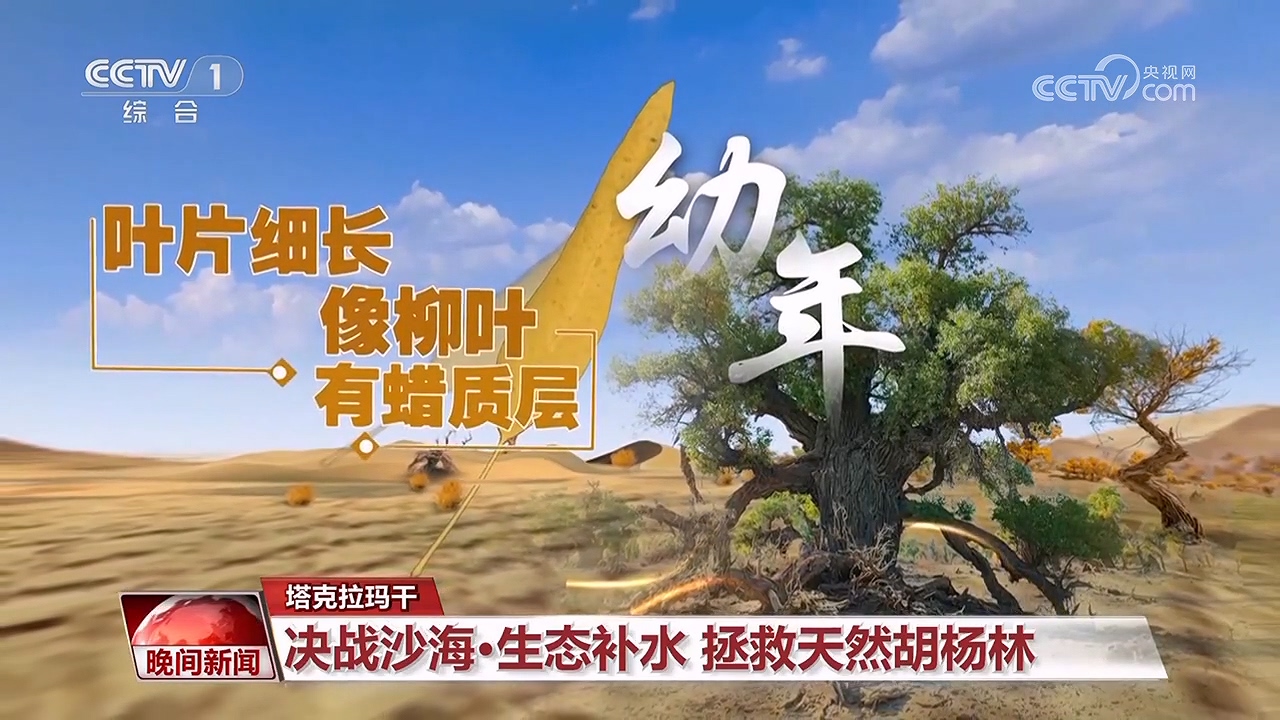 決戰(zhàn)沙海｜護(hù)河守林潤綠洲(圖8)