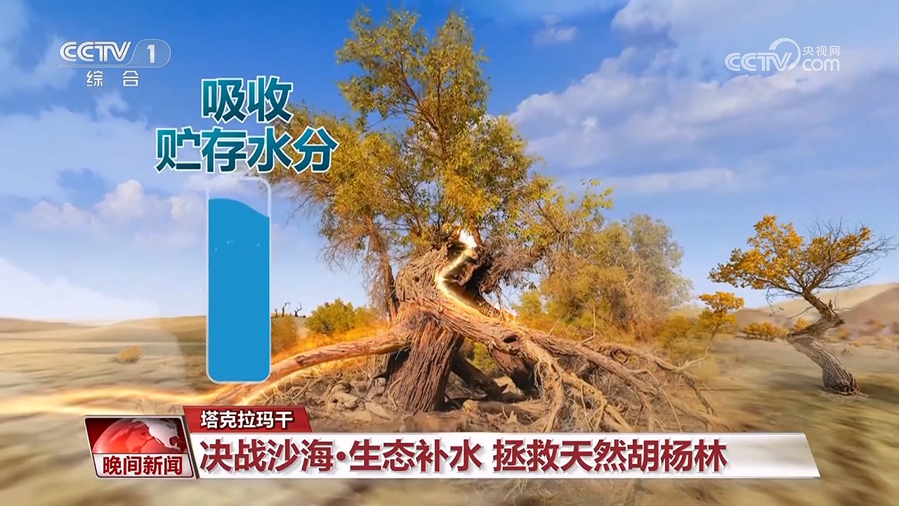 決戰(zhàn)沙海｜護(hù)河守林潤綠洲(圖9)