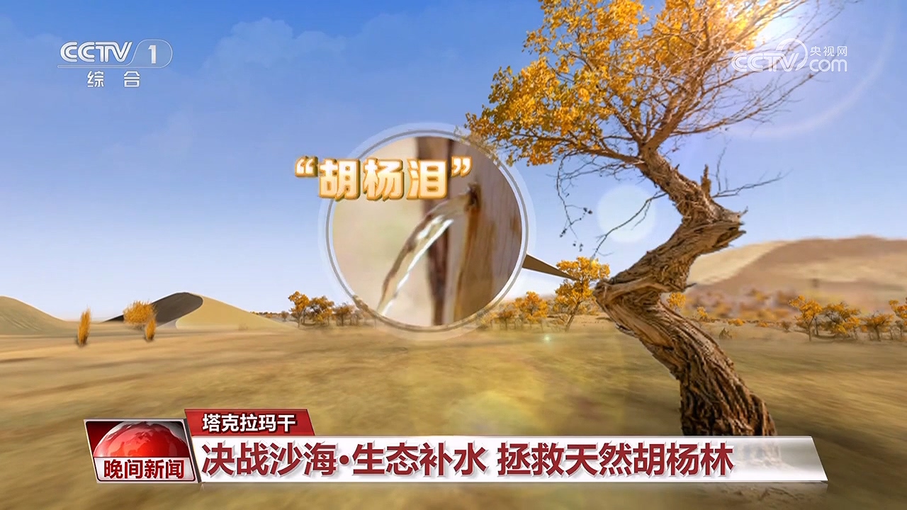 決戰(zhàn)沙海｜護(hù)河守林潤綠洲(圖10)